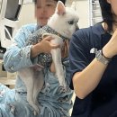 (주)투에이취에프 | 3월 둘째주 혈당스파이크 드루와~