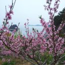 푸른너울펜션 이미지