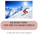 웰리힐리당구장 이미지