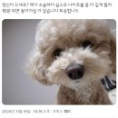 에프원호텔(F1) | 멜번 일상을 (또) 말아오다