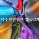 물들인 협동조합 네이버블로그