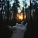 김양수「매미」 이미지