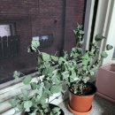 향로산로 이미지