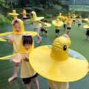 숲이랑아이랑유치원 이미지