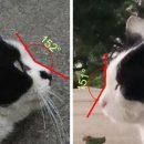 성동구청 뒤편 이미지