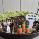 으니농장 이미지