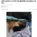 한국 입국심사 지나치다고 발작하는 태국애들이 봐야 할 장면 이미지