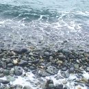 바람의언덕 이미지