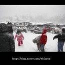 둔내목장 이미지