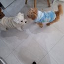 늘품로3 이미지