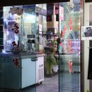 동진가셀프식당 이미지