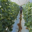 해정농장 이미지