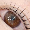 석전동204 이미지