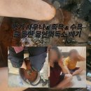 장선한의원 | 가기 딱 좋은 효자동에 위치한 "KK디톡스 족욕 포스코지사" 에서 노폐물과 독소를 한번에 빼고 온 후기