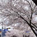 삼문강변로 이미지