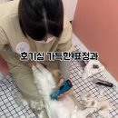 미용하냥 이미지