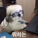 깜냥 이미지