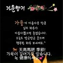 가을향기를 담은 향수 이미지