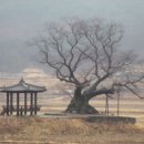 구현농장 이미지