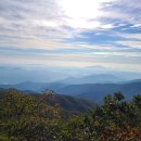 불갑산흑염소 이미지