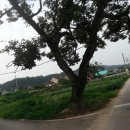 백운산등산로5코스 이미지
