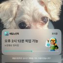 노랑통닭 청라점