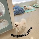 소사미용실 이미지