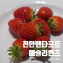 이마트 펜타포트점 | 애슐리퀸즈 천안펜타포트점 딸기축제와 패밀리 슈림프 스테이크 런치 후기