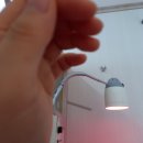 구인당한의원 이미지