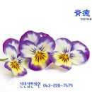 척유침구과한의원 이미지