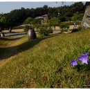 하대리목장 이미지