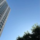 맑은하늘 | [데일리유 DailyU] 백내장 수술 후 우리 엄마 눈 건강! 맑은 하늘 다시 본 내 돈 내산 후기!