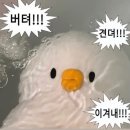 대전삼천중학교 | 창업진흥원 KISED 필기후기 (251115)