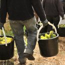 제창농장 이미지