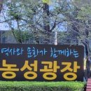 농성역하모니예술단 이미지