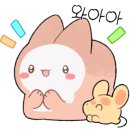 김동권 독 트레이닝센터 이미지