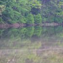 내리저수지 이미지