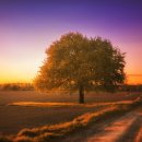 학습심리학 이미지