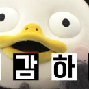 창원더리햅