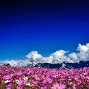 힐링스토리(Healing Story)