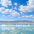 칭하이 | 칭하이성 고원 여행 후기: 해발 3000m 하늘과 맞닿은 풍경