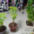 해양경찰청 어린이집