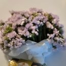 W25. 어두운 홀도 꽃섬스냅💐🌸