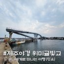 위미항활어회센터 | 위미항 다리 위미귤빛교, 제주 서귀포 야경명소 어때?