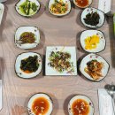 파도복어 이미지