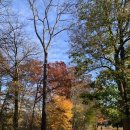 억대부동산공인중개사사무소 이미지