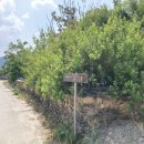 죽마보건진료소 이미지