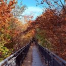 순이김치 이미지