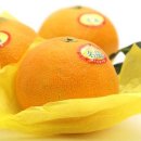 원 농장 이미지