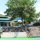 파라다이스 수영장 이미지